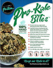 Variety Sample 4 Pack - PROTEIN KALE BITES