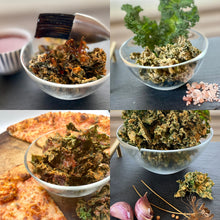 Variety Sample 4 Pack - PROTEIN KALE BITES