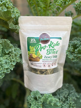 Variety Sample 4 Pack - PROTEIN KALE BITES